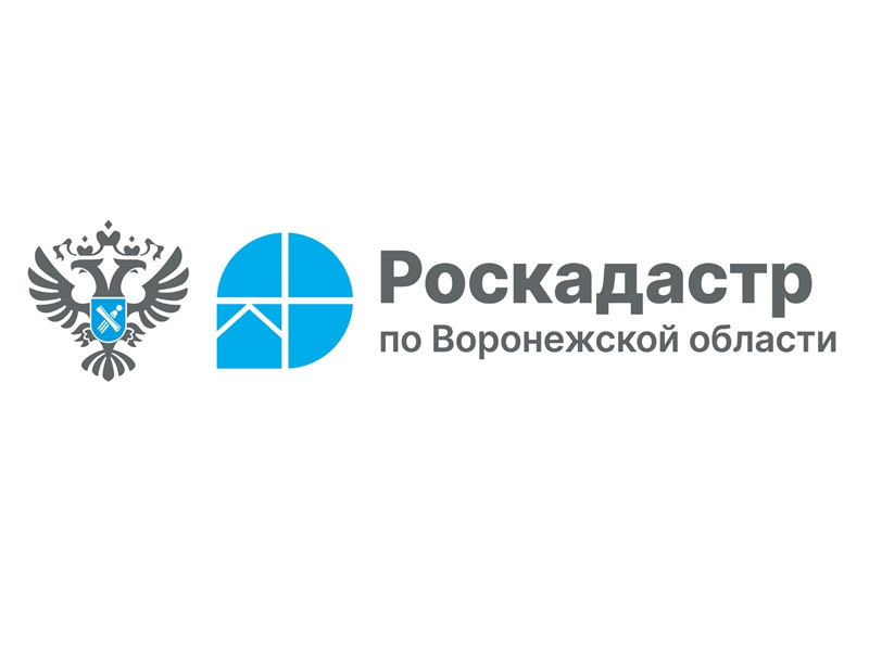 Извещение о принятии решения о проведении в 2026 году государственной кадастровой оценки и приказ №154 от 28.01.2025.